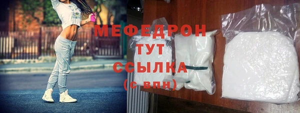 индика Чердынь