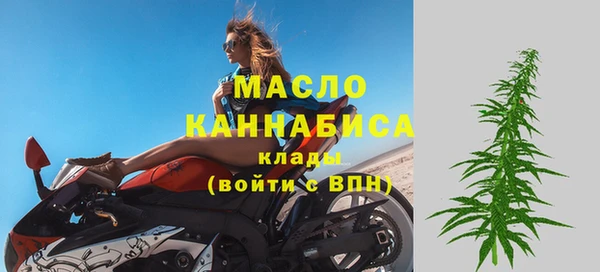 индика Чердынь