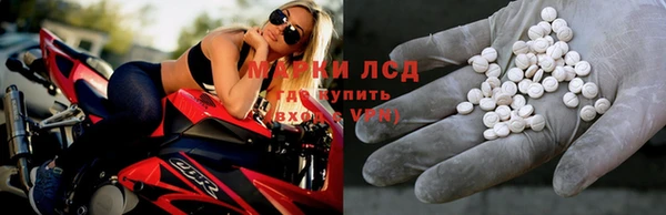 индика Чердынь