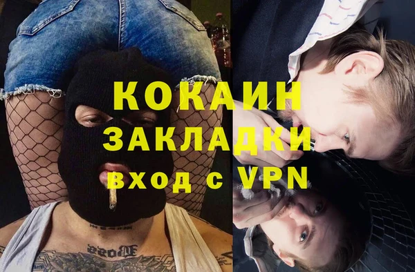 индика Чердынь