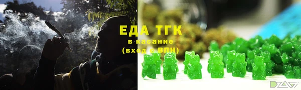 индика Чердынь