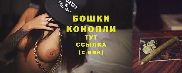 индика Чердынь