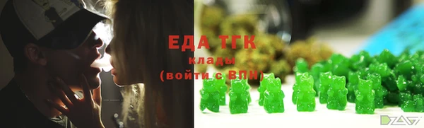 индика Чердынь
