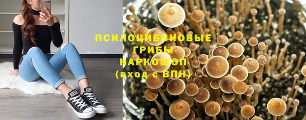 MESCALINE Чегем