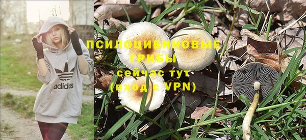 индика Чердынь