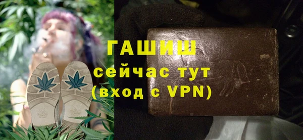индика Чердынь