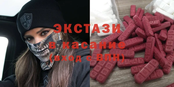 индика Чердынь