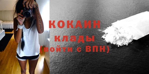 индика Чердынь