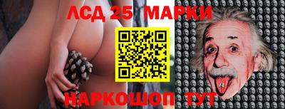 индика Шахты