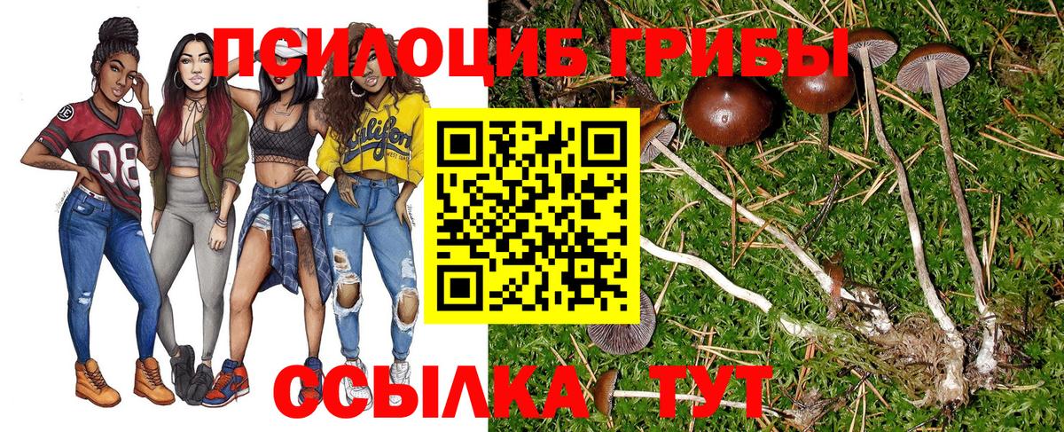 Псилоцибиновые грибы ЛСД Псков